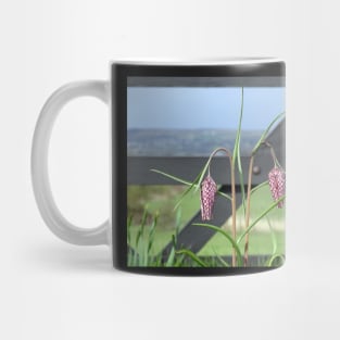 Lazarus Reflects Mug